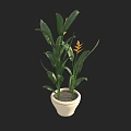 Bonsai Potted Plant With Green Leaves And Yellow Flowers In White Ceramic Pot For Indoor