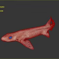 Pink Spotted Shark Aquatic Animal 3D Model Displayed On Dark Background With Reflection