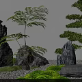 Natural Courtyard Garden with Large Rocks Green Ferns Pine Tree and Mossy Gravel