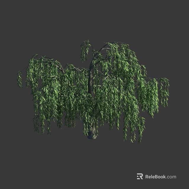 Weeping Willow Tree With Hanging Branches And Dense Green Foliage 3d model