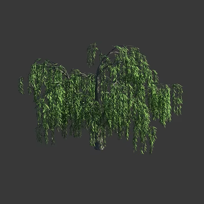 Weeping Willow Tree With Hanging Branches And Dense Green Foliage 3d model