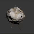 Wood Stone Decorative 3D Model With Natural Texture Holes And Root Like Fibers