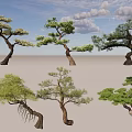 Diverse Form Arbor Trees Featuring Curved Trunks Lush Foliage And Unique Shapes