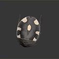 Black beetle with distinct white spots on its back and dark exoskeleton 3d model