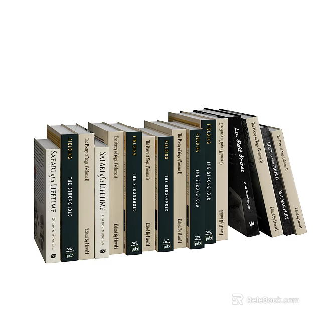 Collection of Various Books with Colorful Covers Arranged Neatly 3d model 