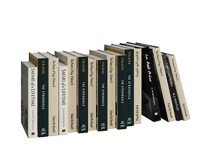 Collection of Various Books with Colorful Covers Arranged Neatly 3d model