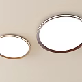 Modern Round Flush Mount Ceiling Lights With White Surface And Metal Frame 3d model