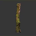 Green Moss Plant Growing On Weathered Wood With Natural Texture And Earthy Tones