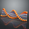 DNA Double Helix Structure Linking Organ And Hair Molecular Components