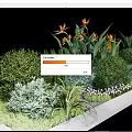 Lush Diverse Shrubs in Garden Landscaping with Orange Flowers Green Grasses and Small White Blooms
