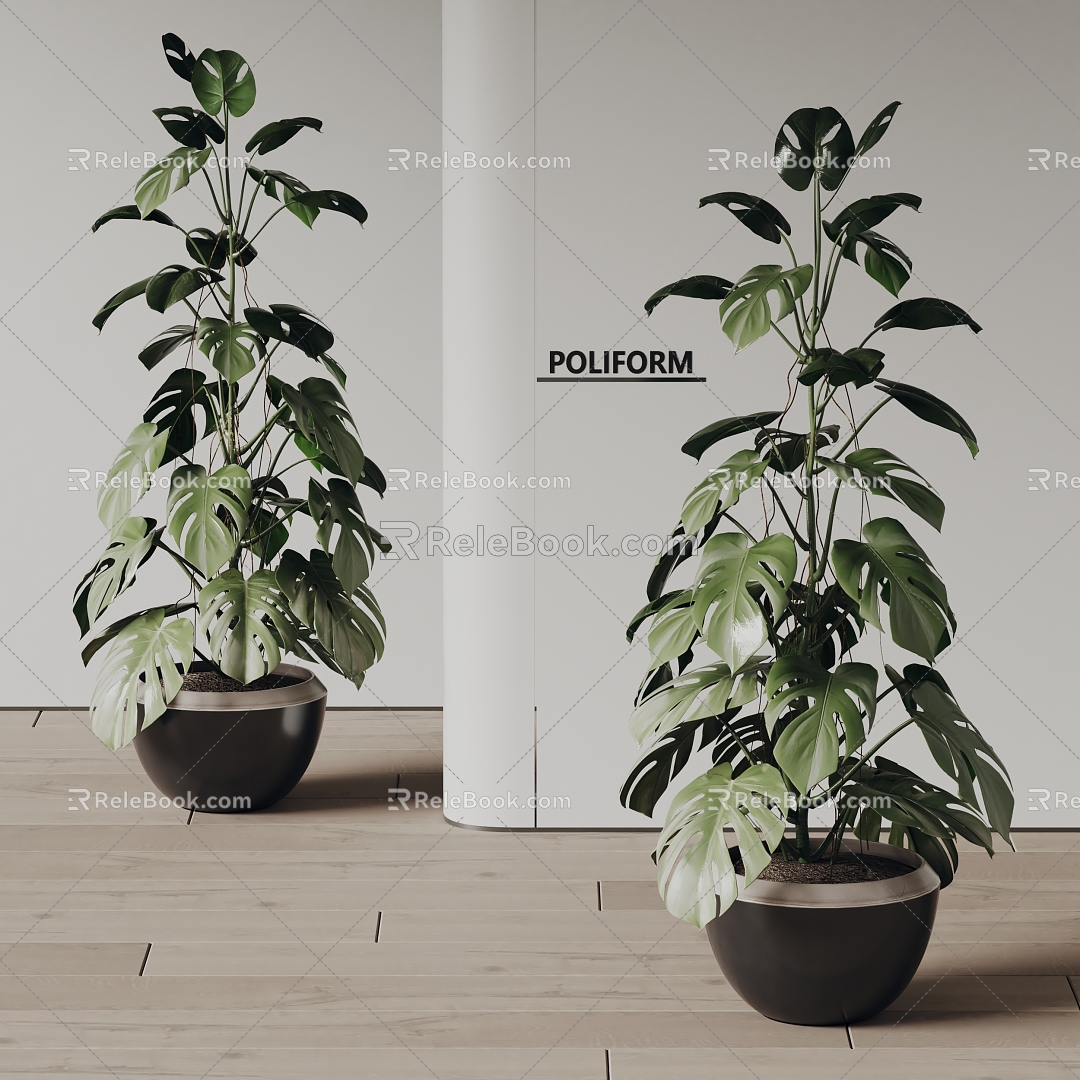 poliform modern potted plants 3d model