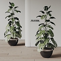 poliform modern potted plants 3d model