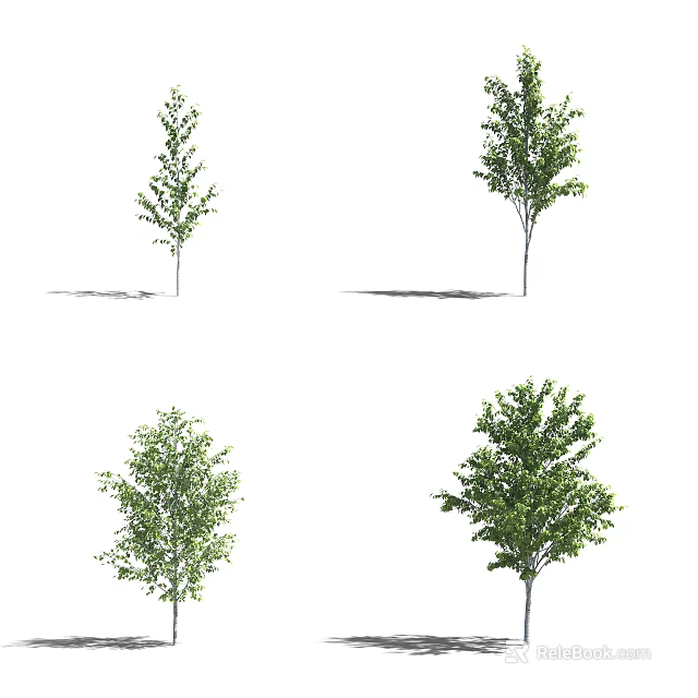 Diverse Arbor Trees with Green Foliage and Natural Trunk Structures 3d model