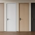 Modern Flush Doors in Various Colors and Wooden Finishes for Interior Design