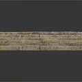 Weathered Stone Steps Covered With Lush Green Moss And Natural Outdoor Texture
