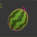 Fresh Ripe Watermelon With Green Dark Wavy Stripes And Orange Stem On Dark Background