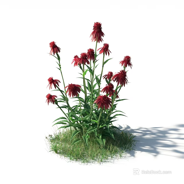Beautiful Red Flowers In Stylish Vase With Green Leaves And Fresh Grass 3d model 