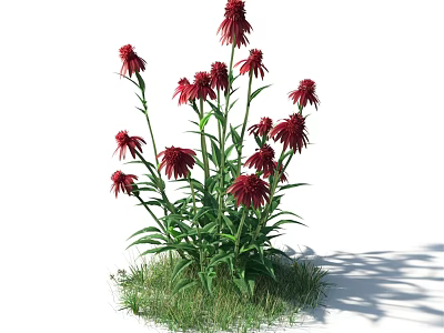 Beautiful Red Flowers In Stylish Vase With Green Leaves And Fresh Grass 3d model