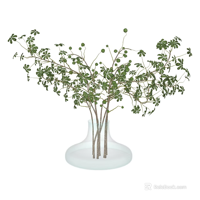 Transparent Glass Vase with Wide Base Holding Fresh Green Branches and Small Buds 3d model 