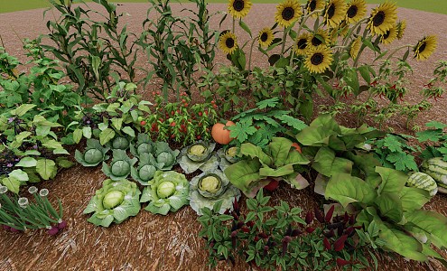 Vegetable vegetable garden vegetable field corn sunflower cucumber eggplant pepper onion watermelon radish cabbage 3d model