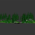 Lush Green Forest Scene With Winding Path Tall Trees And Scattered Stones