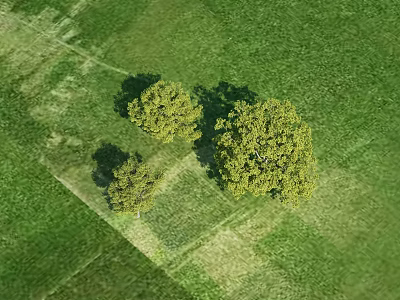 Aerial View Of Lush Trees On Green Grass Field With Sunlit Shadows 3d model
