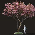 Beautiful Arbor Featuring Pink Blossoms And White Statue On Green Lawn Area