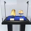 Glass Display Cabinet with Black Frame Blue Fabric Base Showcasing Two Exhibits Under Spotlights