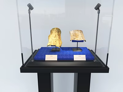 Glass Display Cabinet with Black Frame Blue Fabric Base Showcasing Two Exhibits Under Spotlights 3d model