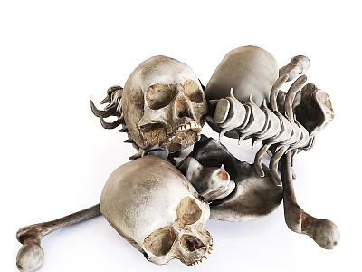 Gothic Decorative Ornament Set with Realistic Skulls and Skeleton Bones 3d model