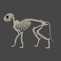 Cartoon Style 3D Skeleton Dog Game Movie Character With Black Eyes