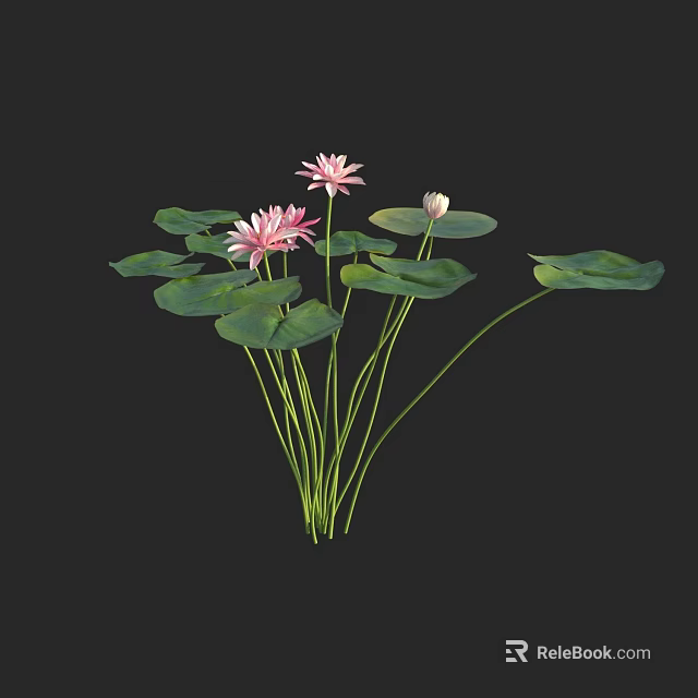 Aquatic Plants With Pink Lotus Flowers and Green Lily Pads in Natural Bloom 3d model 