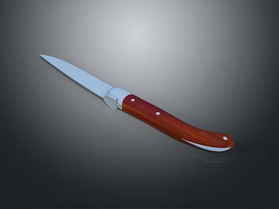 Practical Daily Life Utility Knife With Wooden Handle And Silver Sharp Blade 3d model