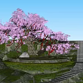 Enchanting Pink Flowering Tree Photo Spot with Red Decorations Stone Steps And Carved Characters