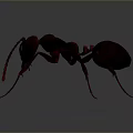 Realistic Red Ant 3D Rendered Close Up with Detailed Body on Dark Background
