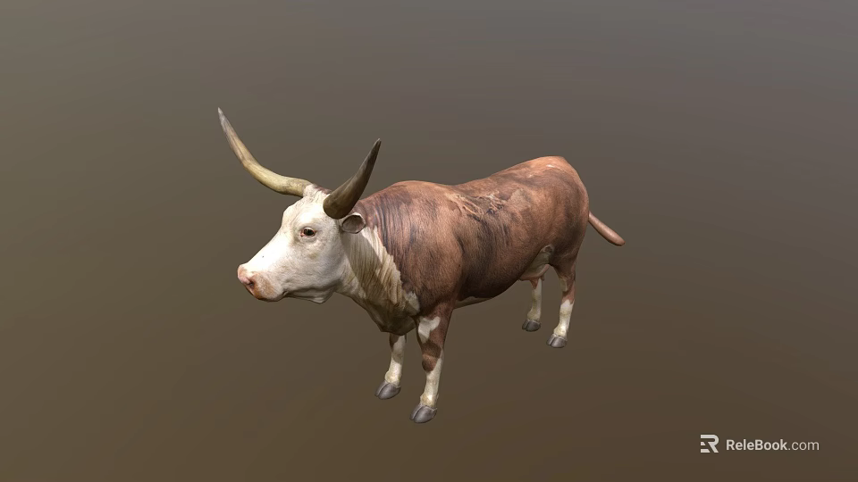Brown And White Bull With Long Horns Standing On Plain Background 3d model 