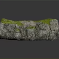 Green Moss Covered Natural Stone Rock with Gray Textured Surface and Reflective Base
