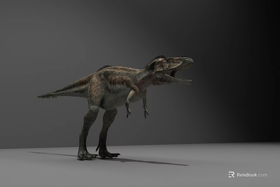 Realistic Tyrannosaurus Rex Dinosaur Model Standing In Gray Studio Background 3d model 