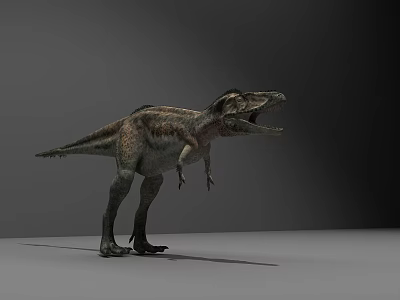 Realistic Tyrannosaurus Rex Dinosaur Model Standing In Gray Studio Background 3d model