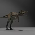 Realistic Tyrannosaurus Rex Dinosaur Model Standing In Gray Studio Background
