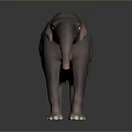Gray Elephant With Long Trunk And Yellow Tusks Standing On Dark Background 3d model