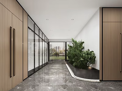 Modern Office Corridor Interior Design With Wooden Cabinets Glass Partitions Marble Flooring And Green Plant 3d model