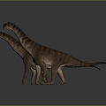 Two Long Neck Dinosaurs Standing On Gray Background With Brown Skin 3D Render 3d model