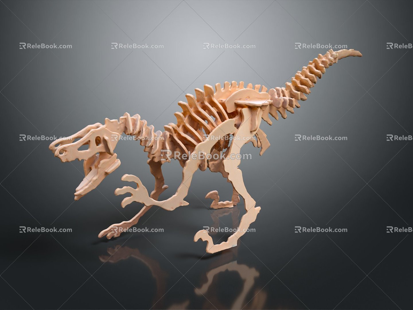 Modern Skeleton Animal Skeleton Skeleton Animal Skeleton 3d model