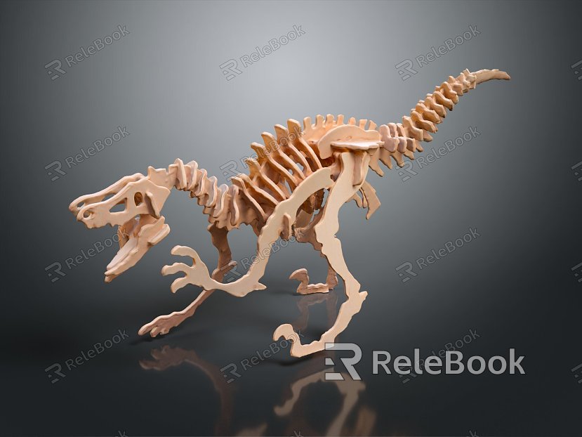 Modern Skeleton Animal Skeleton Skeleton Animal Skeleton model