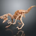 High Quality Medical Skeleton Model For Educational Training In Healthcare Institutions