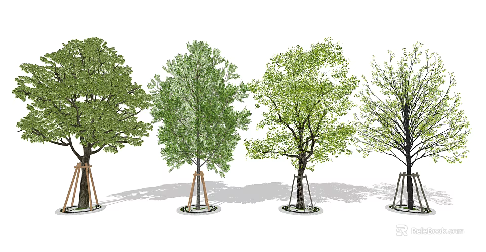 Arbor Trees With Different Foliage And Support Structures In Landscape Design 3d model