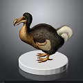 Dodo Bird Model With Detailed Feathers Standing On White Circular Base 3d model