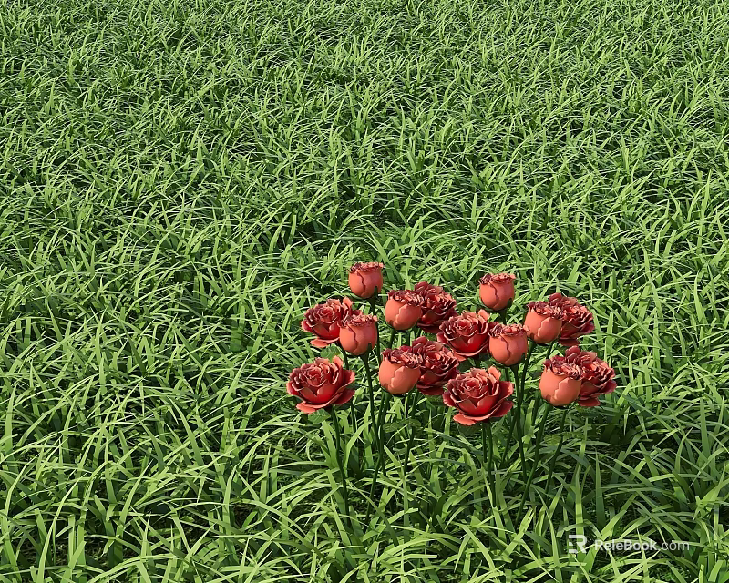 Cluster of Red Flowers Blooming in Lush Green Grass Field Natural Scenery 3d model 