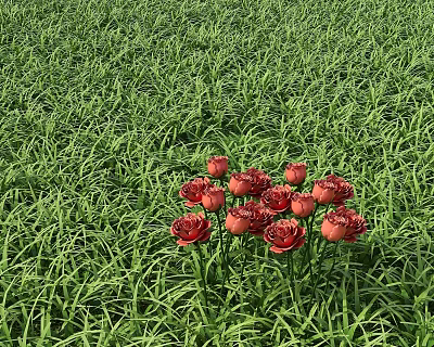 Cluster of Red Flowers Blooming in Lush Green Grass Field Natural Scenery 3d model